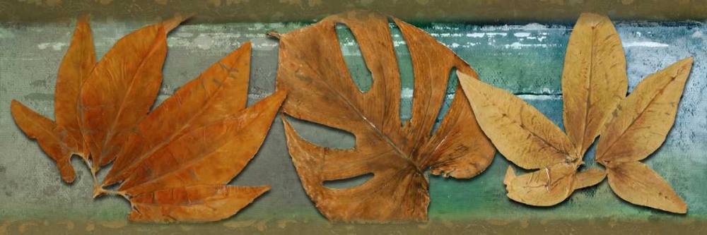 Leaf Panel III art print by Patricia Pinto for $57.95 CAD