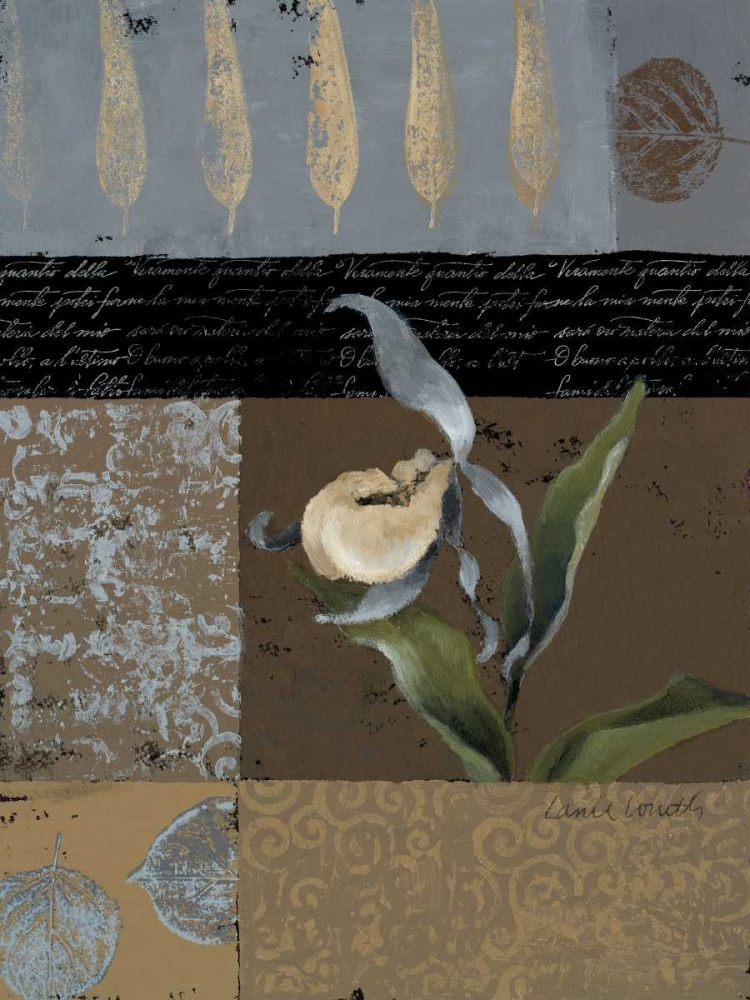 Slipper Orchid in Blue II art print by Lanie Loreth for $57.95 CAD