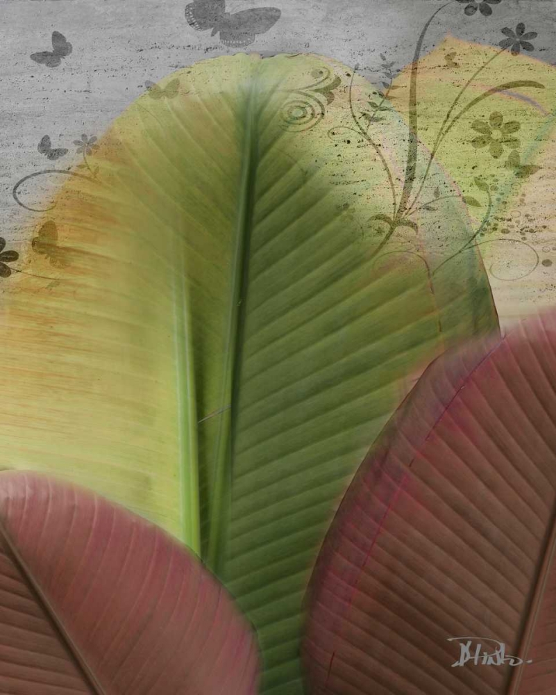 Butterfly Palm I art print by Patricia Pinto for $57.95 CAD