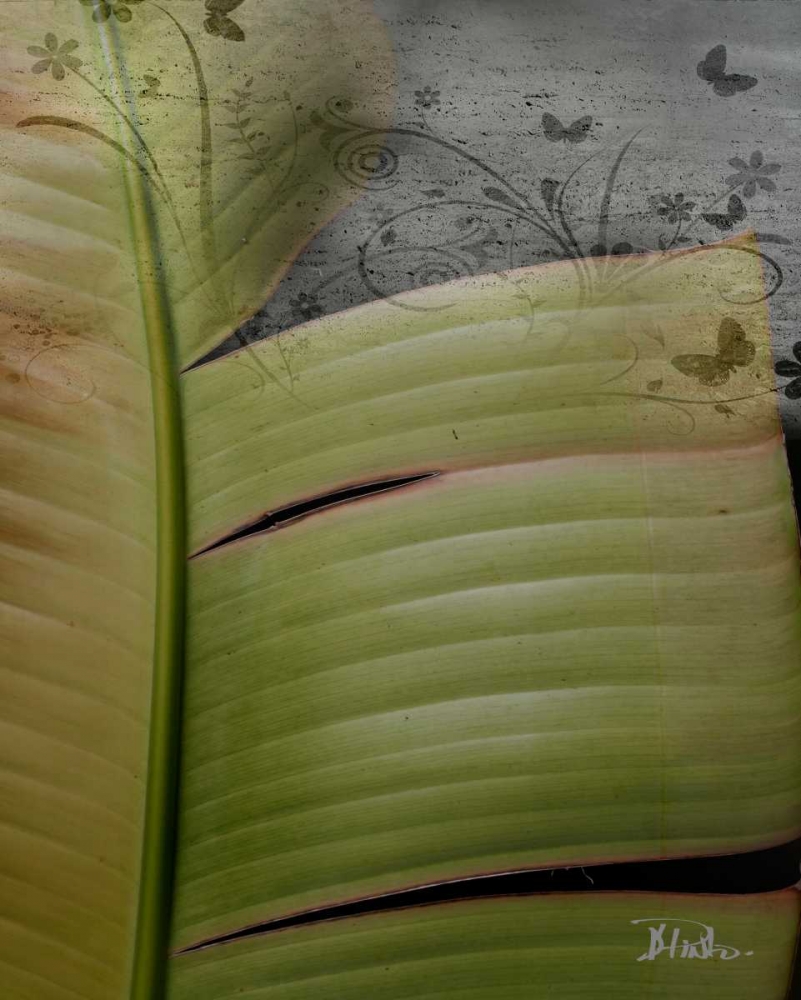 Butterfly Palm II art print by Patricia Pinto for $57.95 CAD