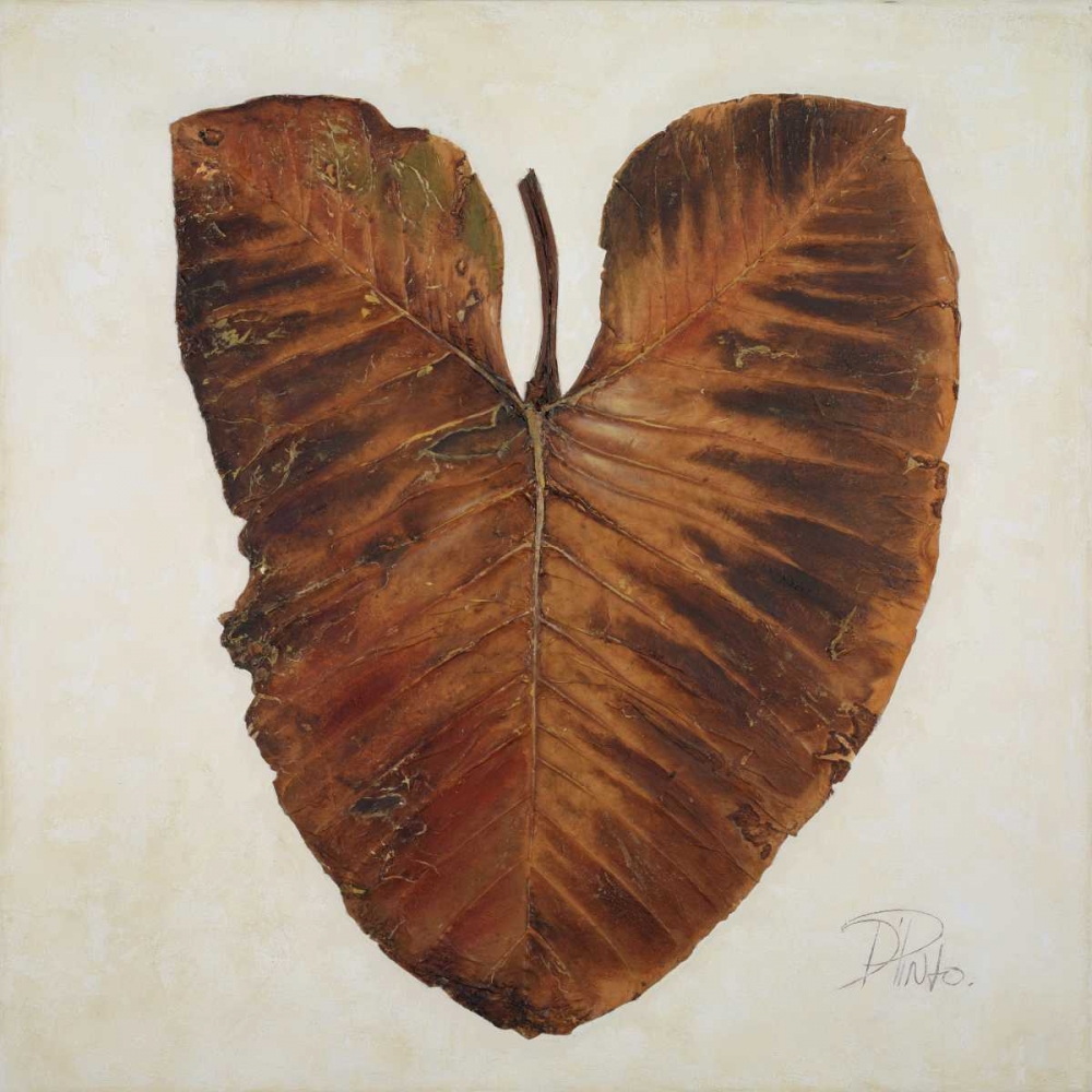 Amazonas I art print by Patricia Pinto for $57.95 CAD