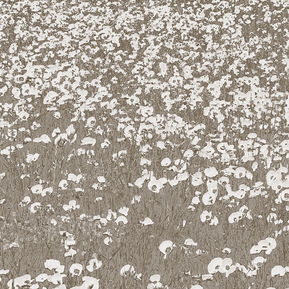 Neutral Fields art print by Shelley Lake for $57.95 CAD