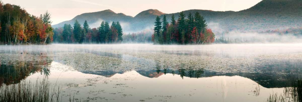 Lefferts Pond art print by Shelley Lake for $57.95 CAD