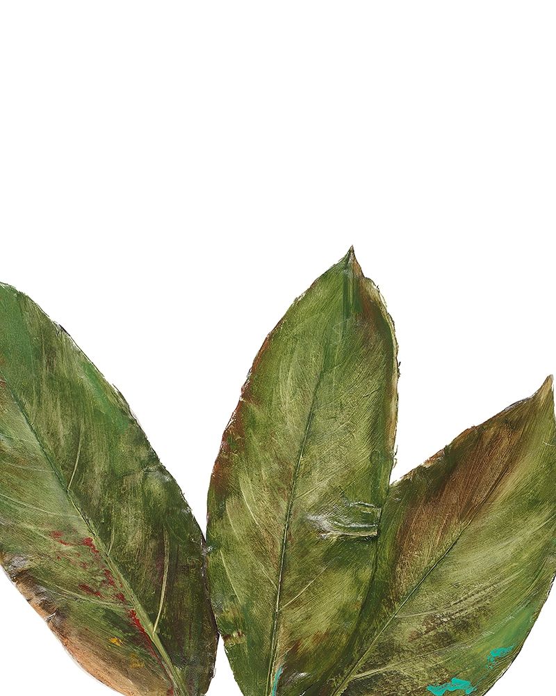 Partial Palm III art print by Patricia Pinto for $57.95 CAD