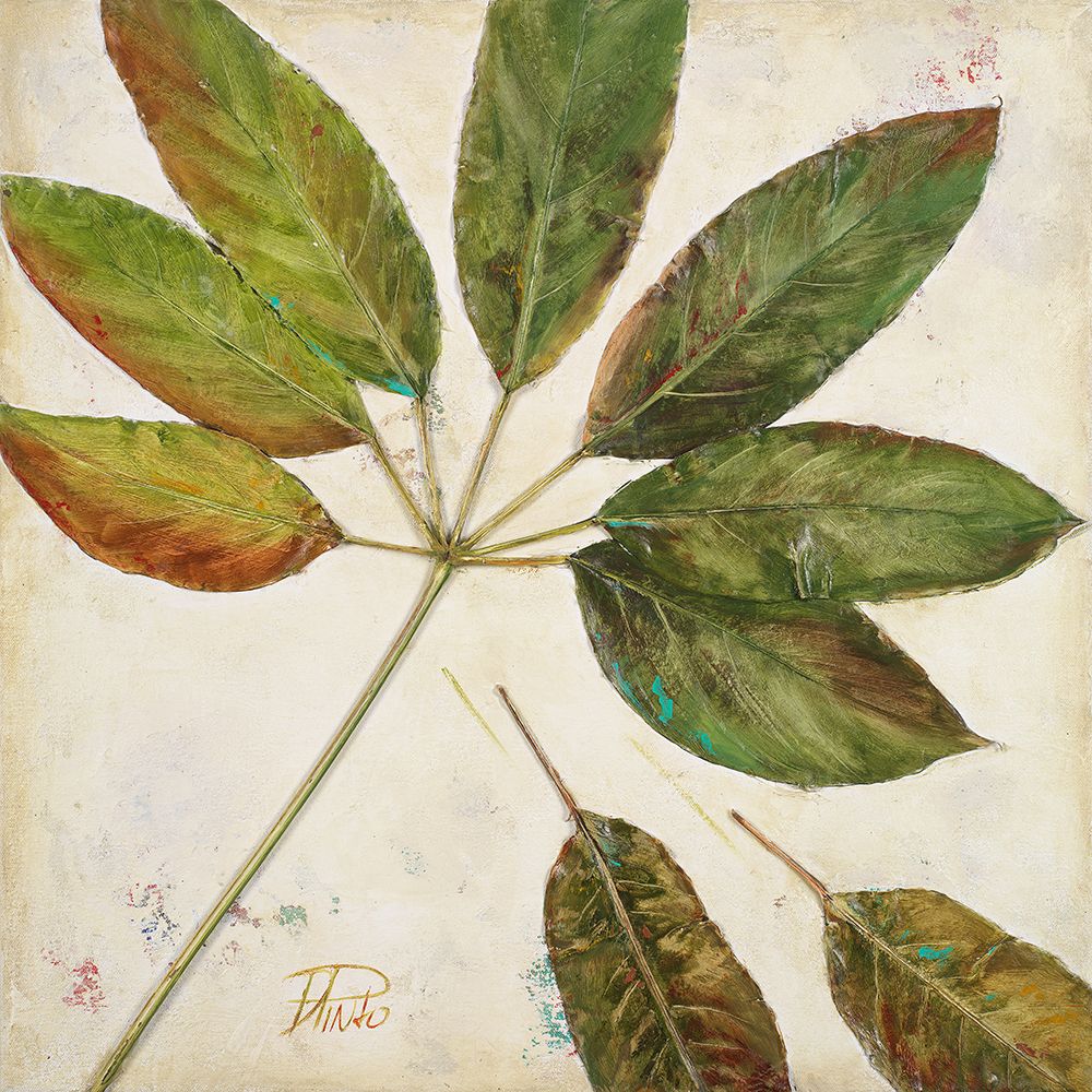 Organic III art print by Patricia Pinto for $57.95 CAD