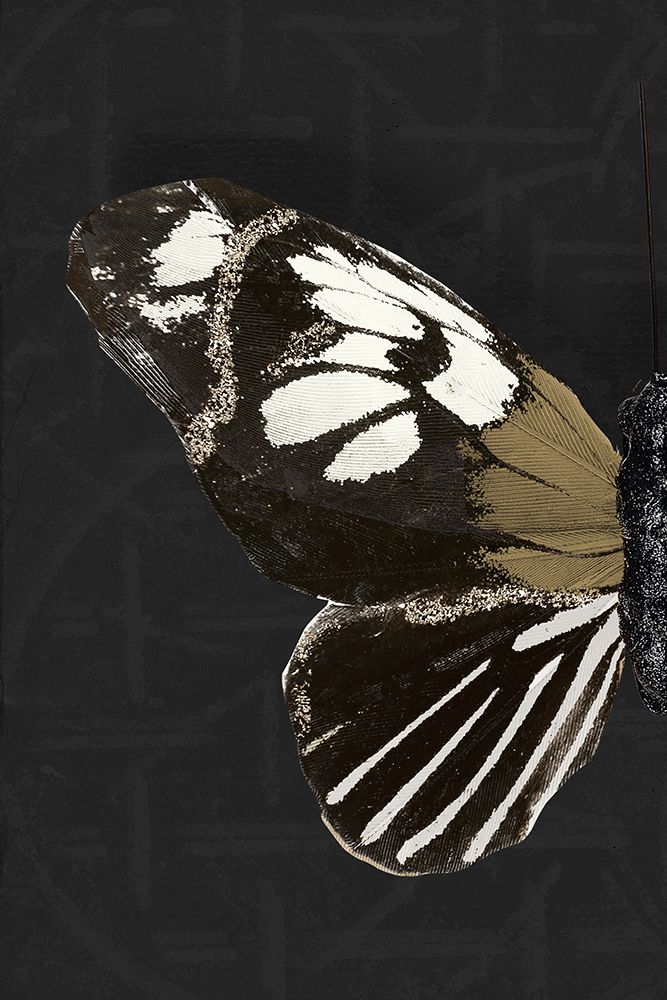 Butterfly Profile I art print by Hakimipour-Ritter for $57.95 CAD