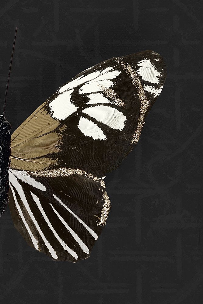 Butterfly Profile II art print by Hakimipour-Ritter for $57.95 CAD