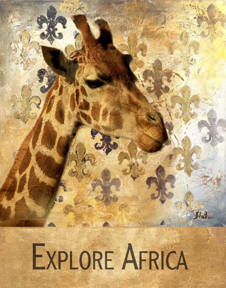 Explore Africa art print by Patricia Pinto for $57.95 CAD