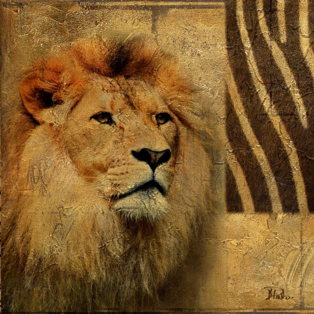 Elegant Safari II (Lion) art print by Patricia Pinto for $57.95 CAD