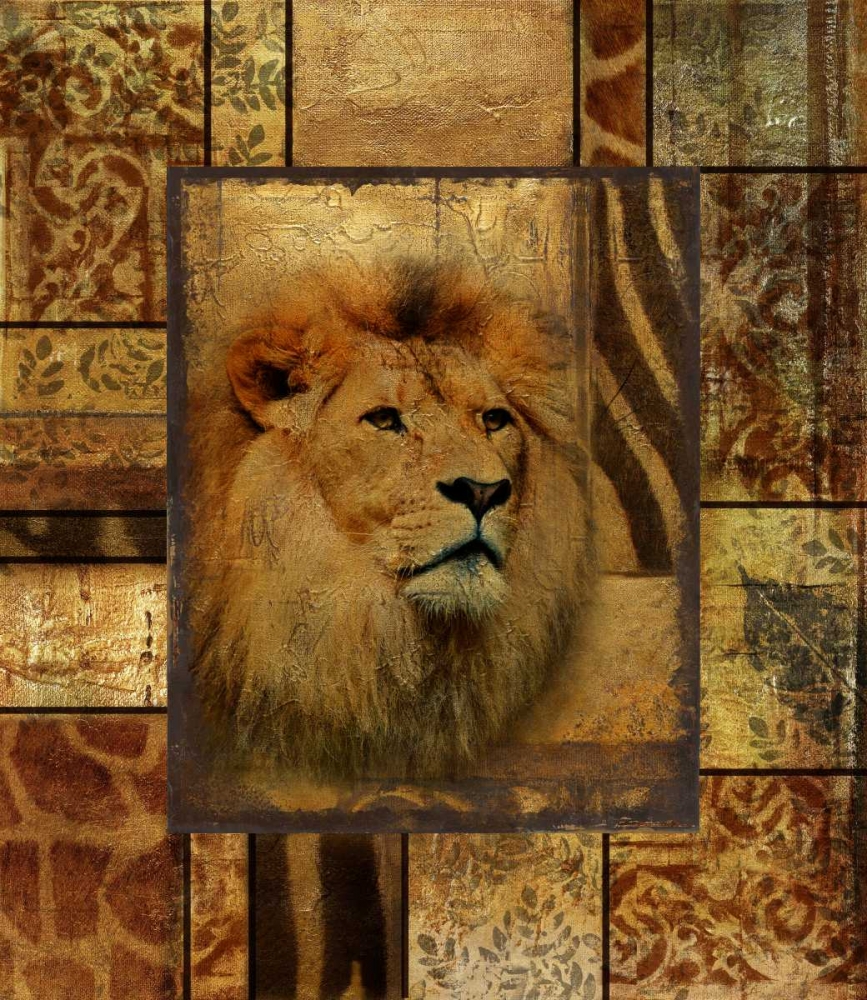 Decorative Safari II (Lion) art print by Patricia Pinto for $57.95 CAD