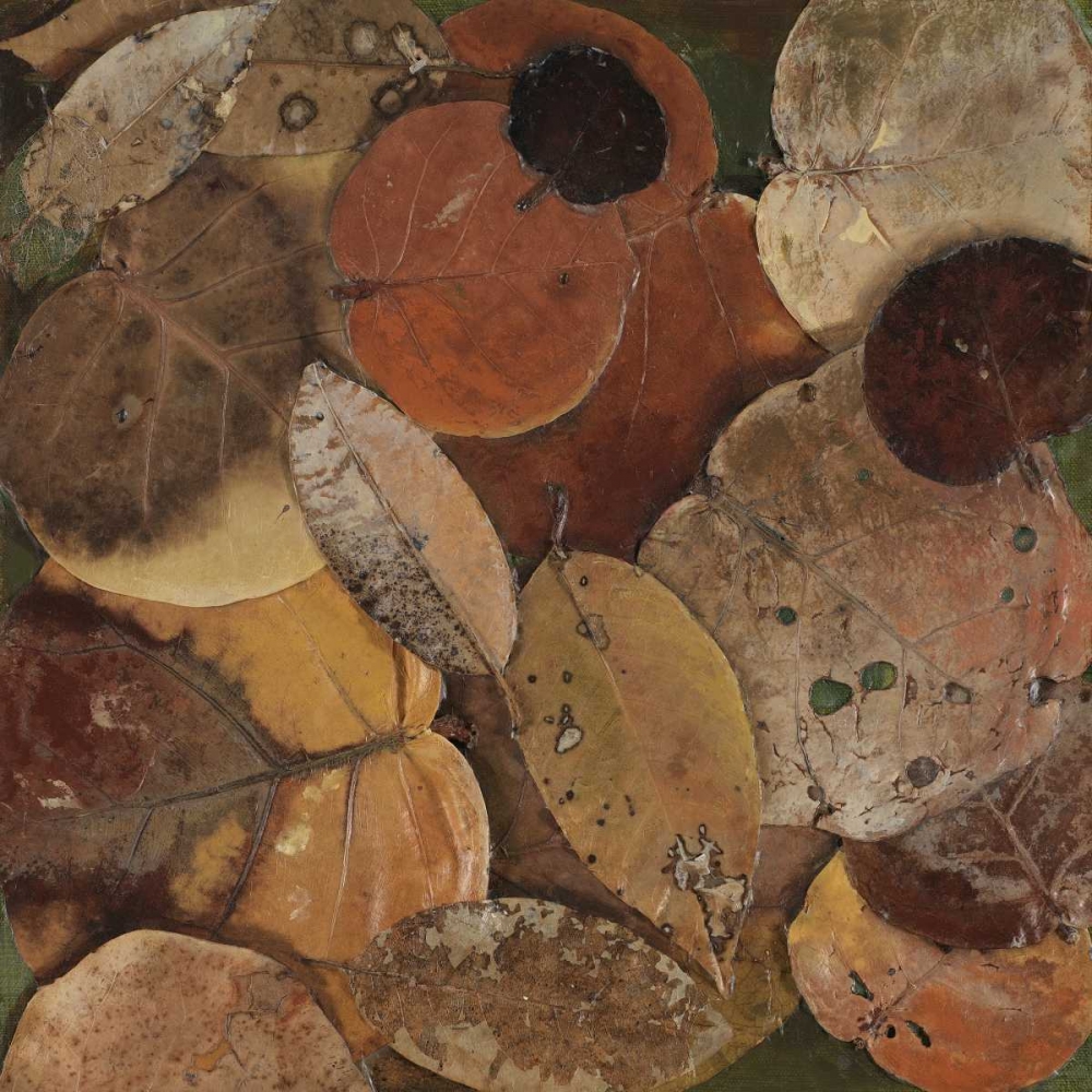 Scattered Leaves I art print by Patricia Pinto for $57.95 CAD