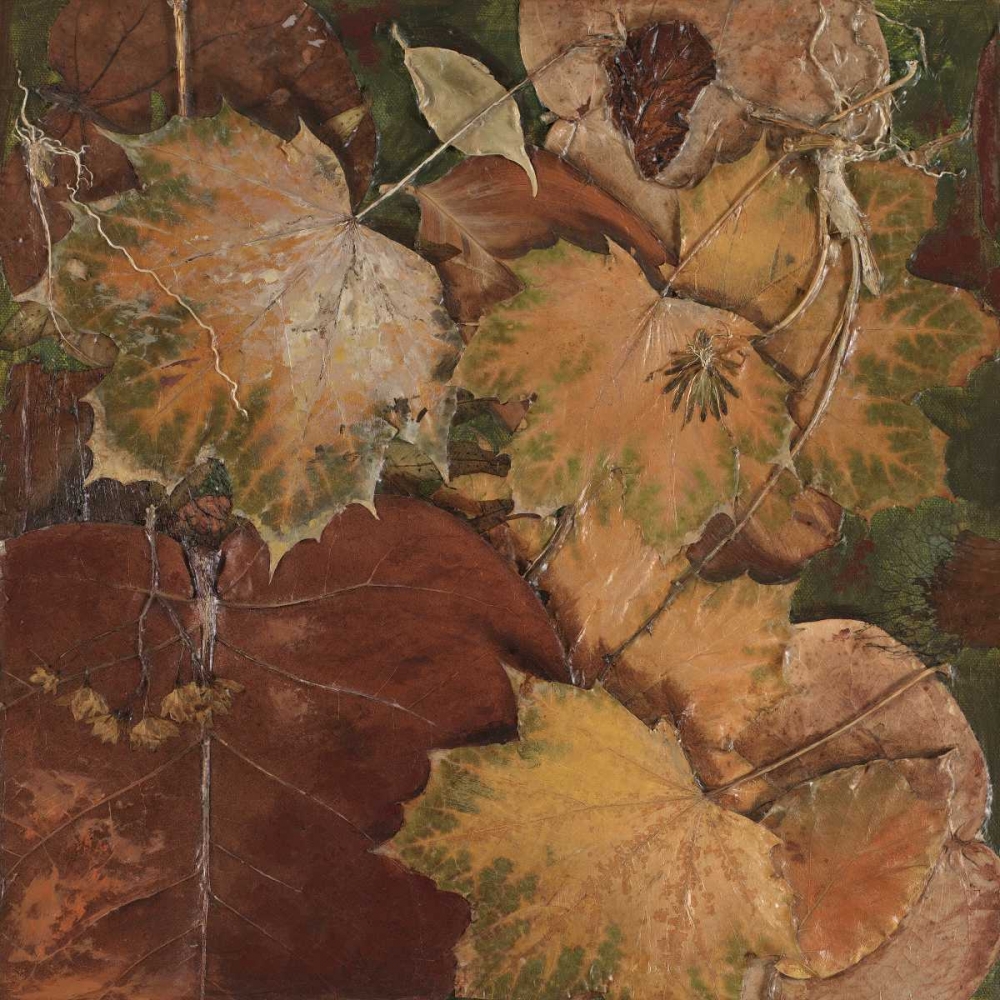 Scattered Leaves II art print by Patricia Pinto for $57.95 CAD