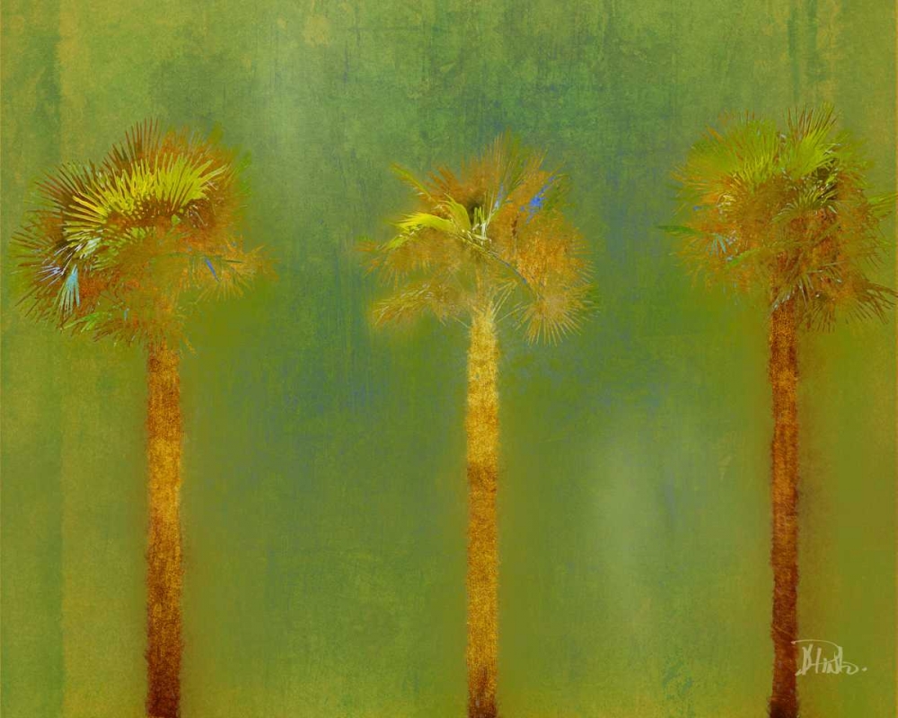 Three Palms II art print by Patricia Pinto for $57.95 CAD