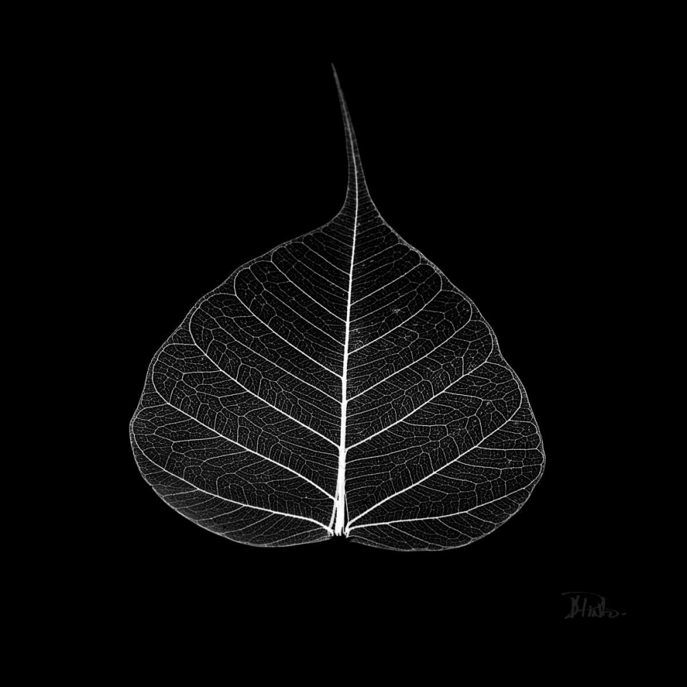 Minimalism in Black I art print by Patricia Pinto for $57.95 CAD