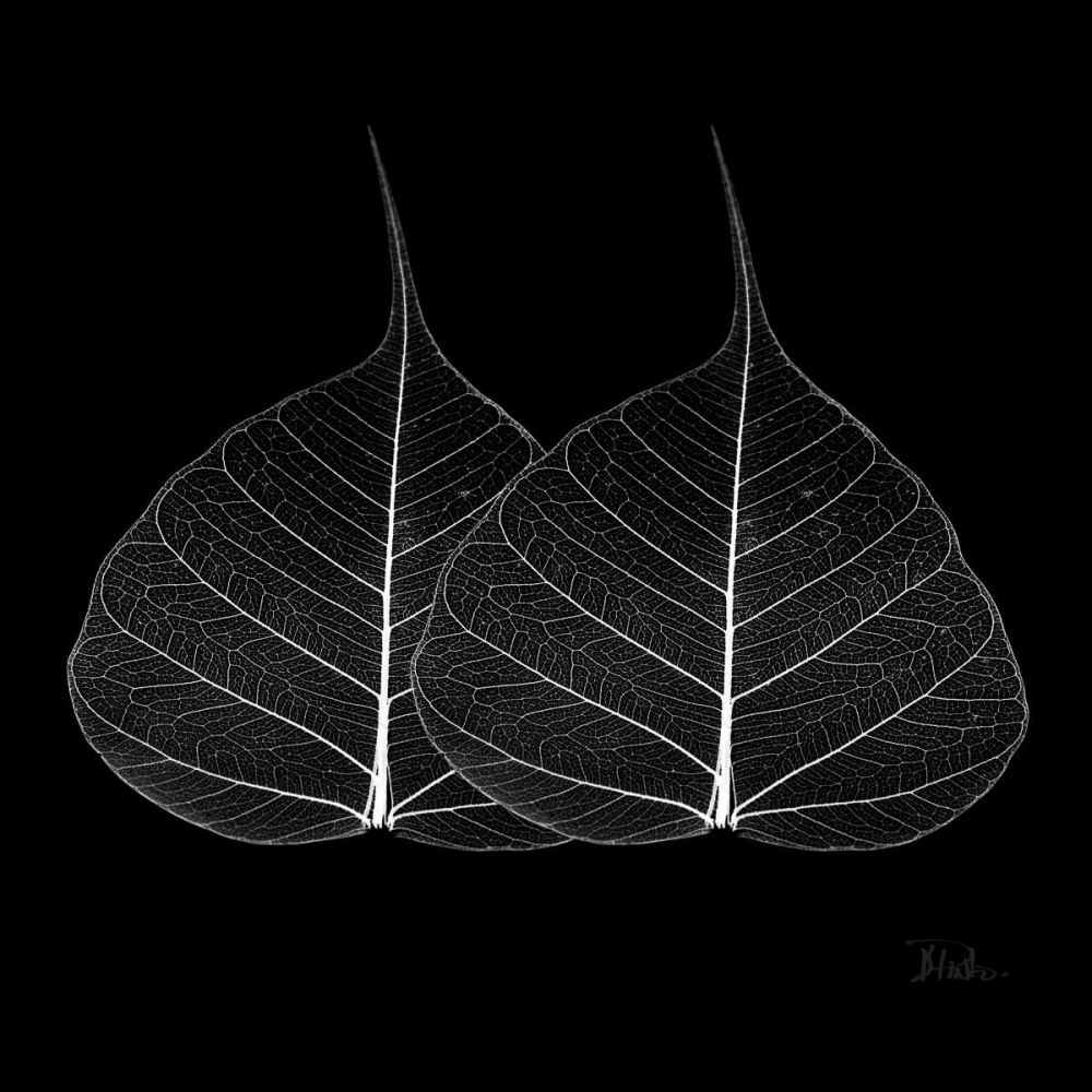Minimalism in Black II art print by Patricia Pinto for $57.95 CAD