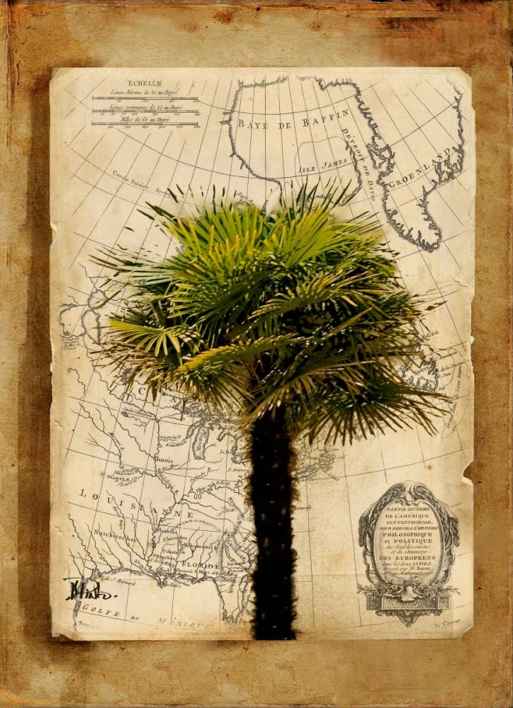 America I art print by Patricia Pinto for $57.95 CAD