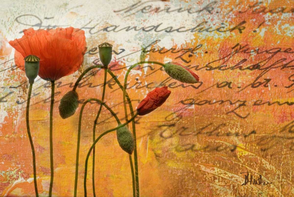 Poppies Composition I art print by Patricia Pinto for $57.95 CAD
