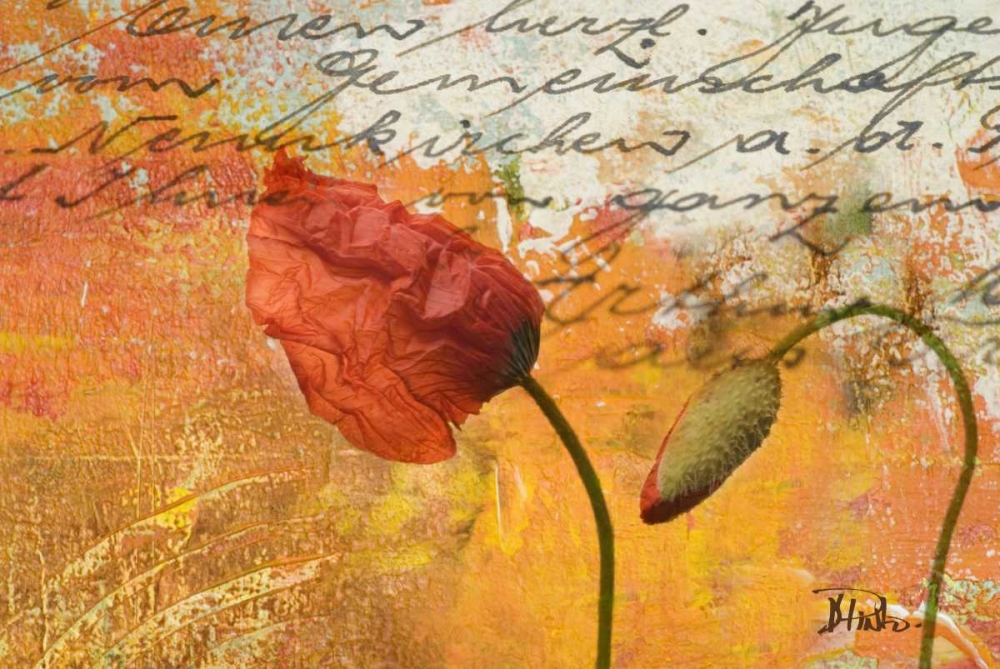 Poppies Composition II art print by Patricia Pinto for $57.95 CAD