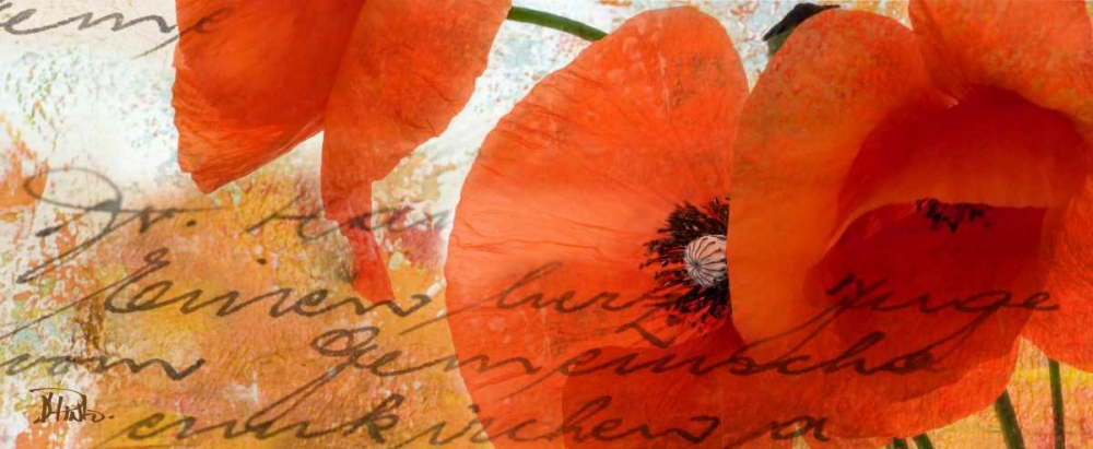 Poppies Composition III art print by Patricia Pinto for $57.95 CAD