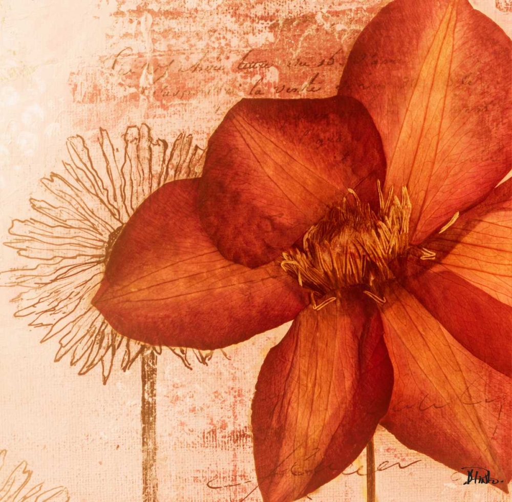 Rouge Pressed Flowers I art print by Patricia Pinto for $57.95 CAD