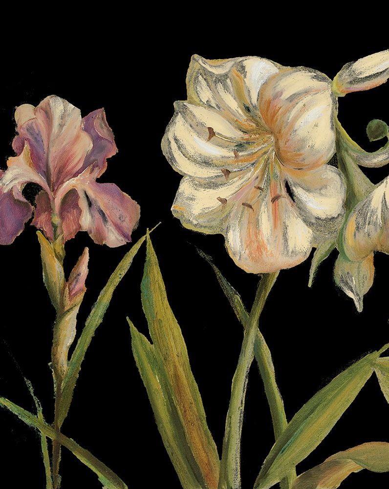 The Garden At Night I art print by Patricia Pinto for $57.95 CAD