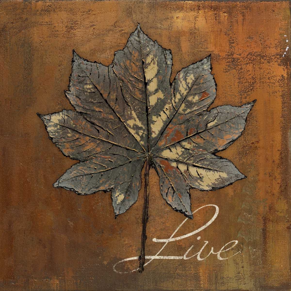Maple Live art print by Patricia Pinto for $57.95 CAD