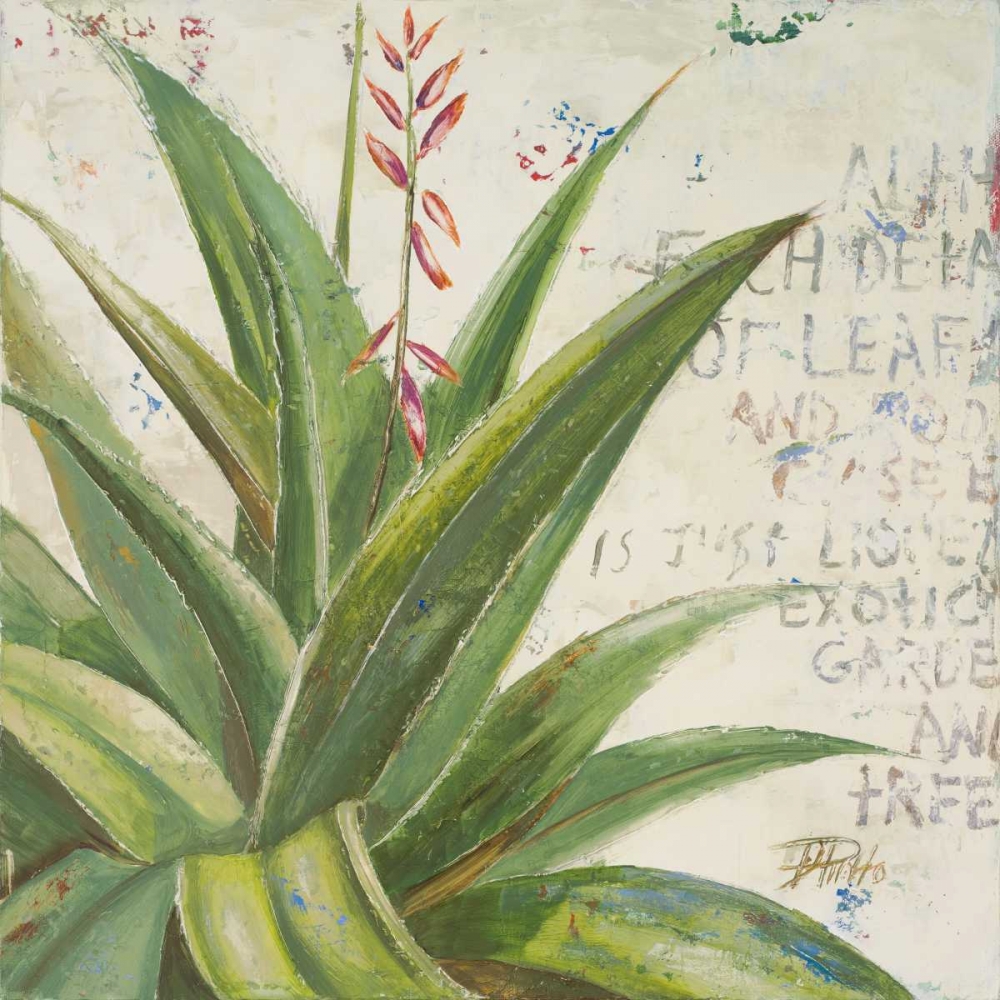 Aloe II art print by Patricia Pinto for $57.95 CAD