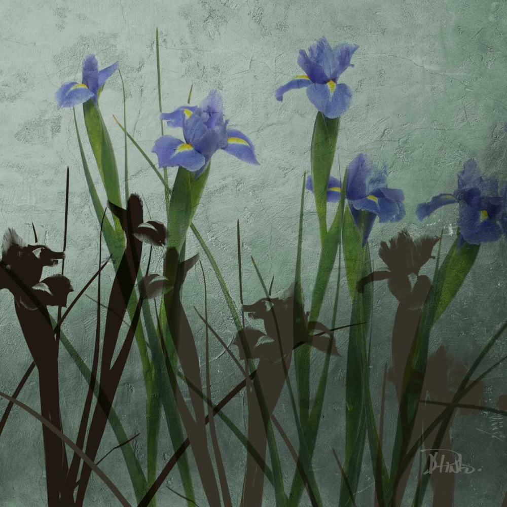 Blue Irises I art print by Patricia Pinto for $57.95 CAD
