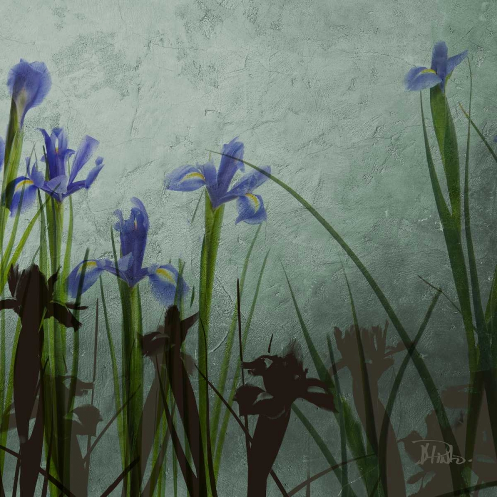 Blue Irises II art print by Patricia Pinto for $57.95 CAD