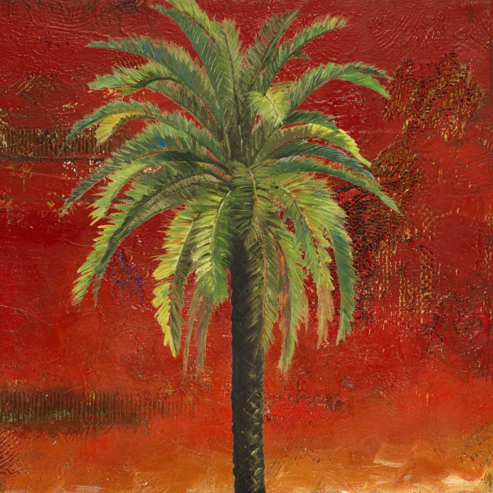 La Palma on Red III art print by Patricia Pinto for $57.95 CAD