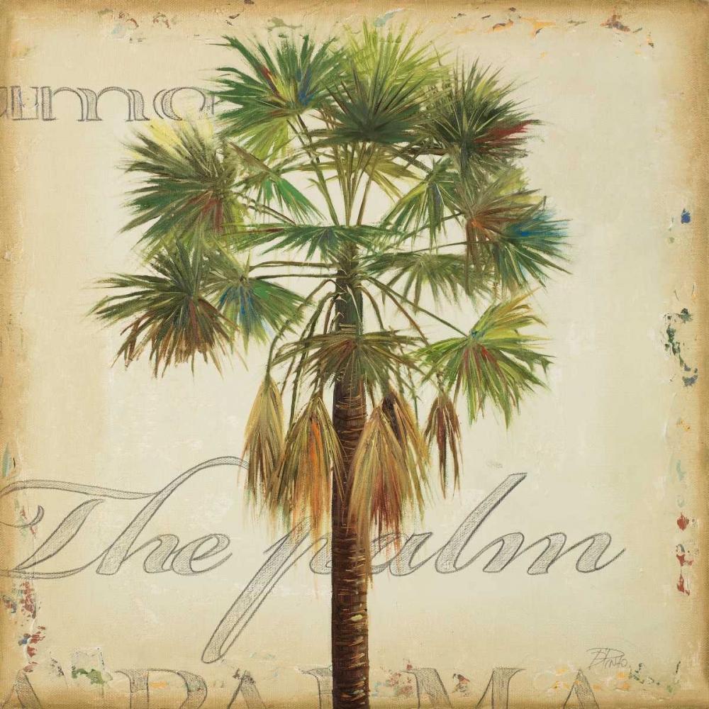 La Palma IV art print by Patricia Pinto for $57.95 CAD
