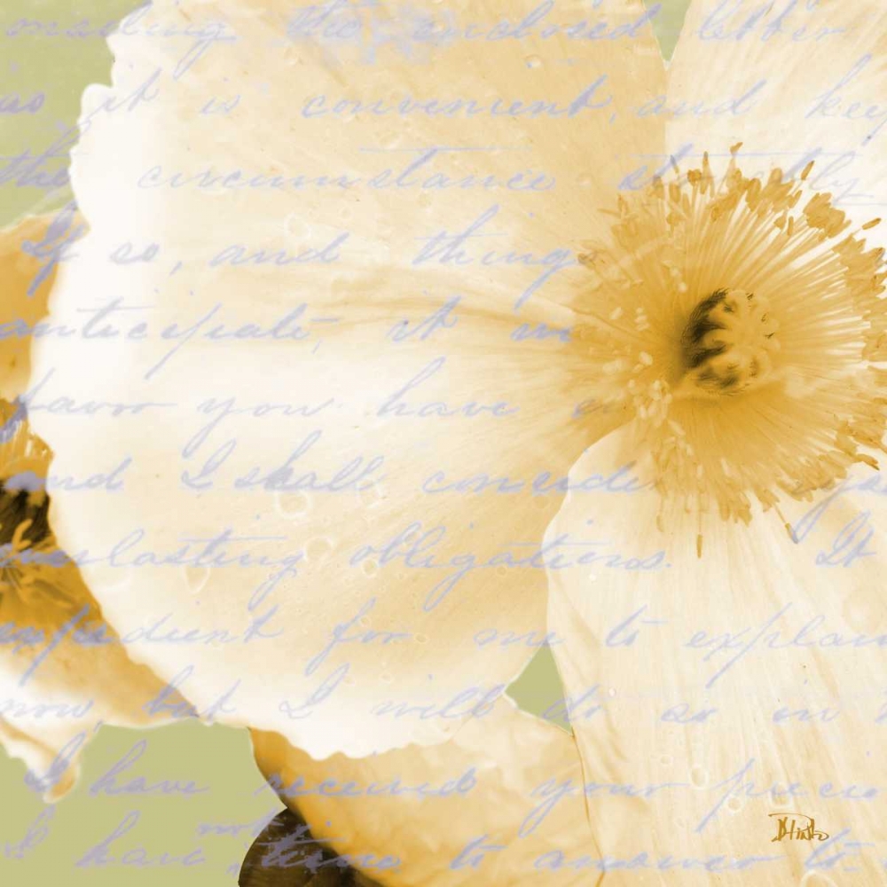 Written In The Wind II art print by Patricia Pinto for $57.95 CAD