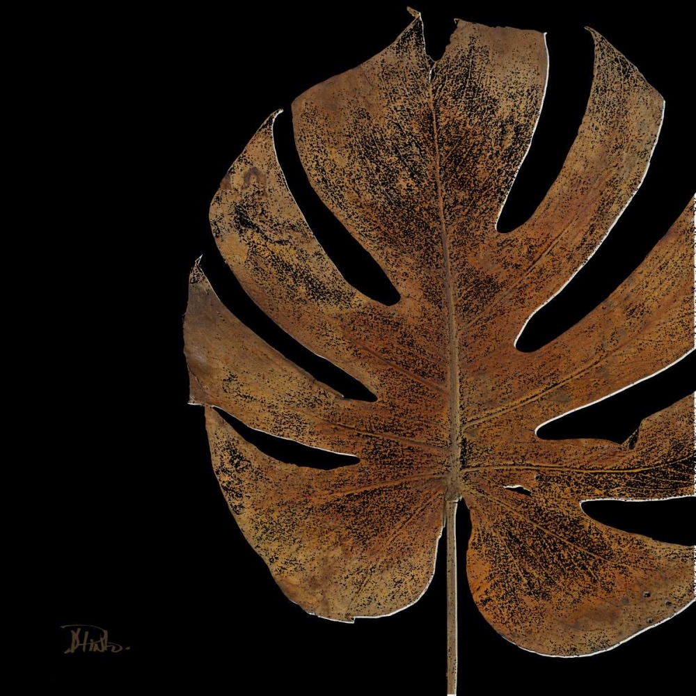 Black Balazo II art print by Patricia Pinto for $57.95 CAD