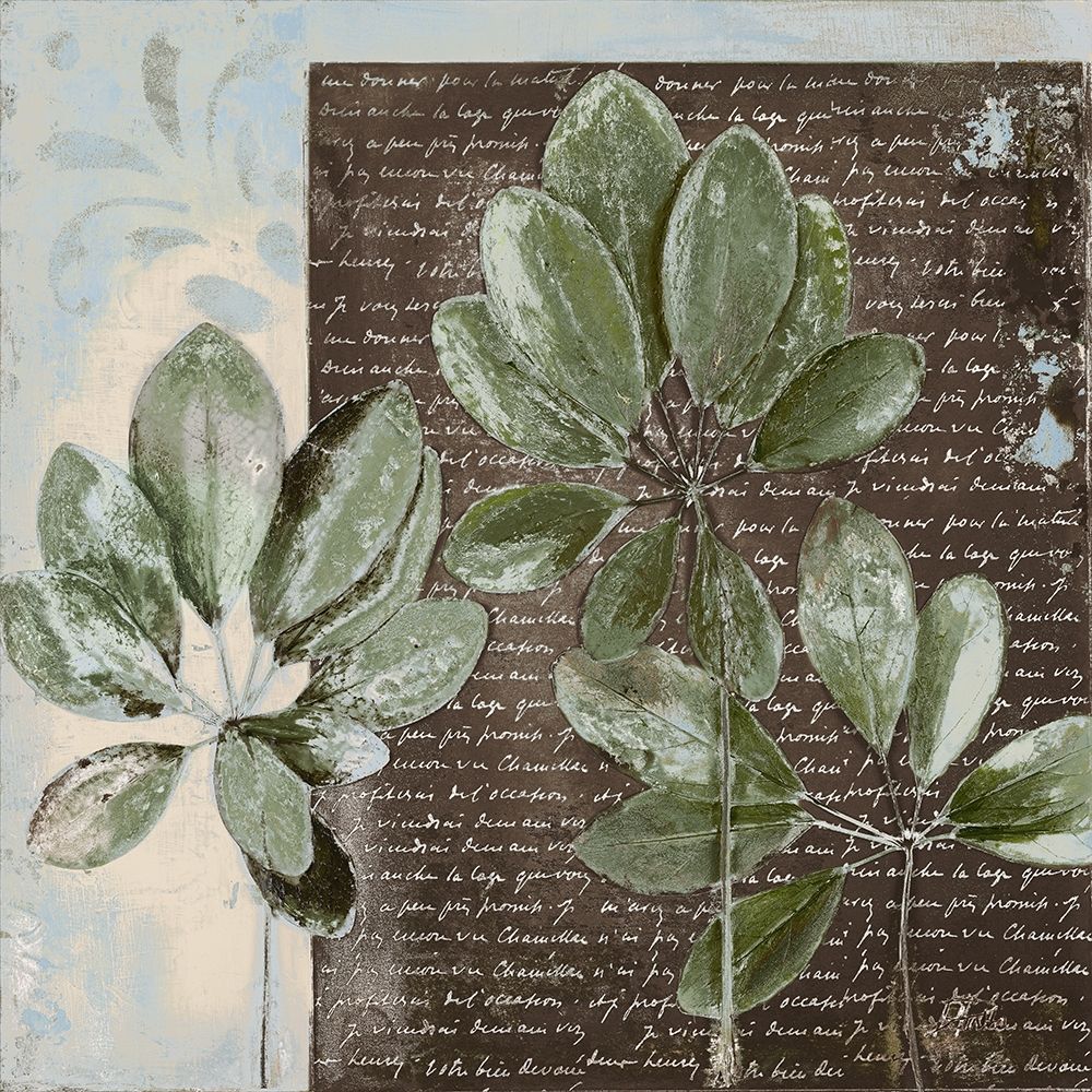 Botanica on Blue I art print by Patricia Pinto for $57.95 CAD
