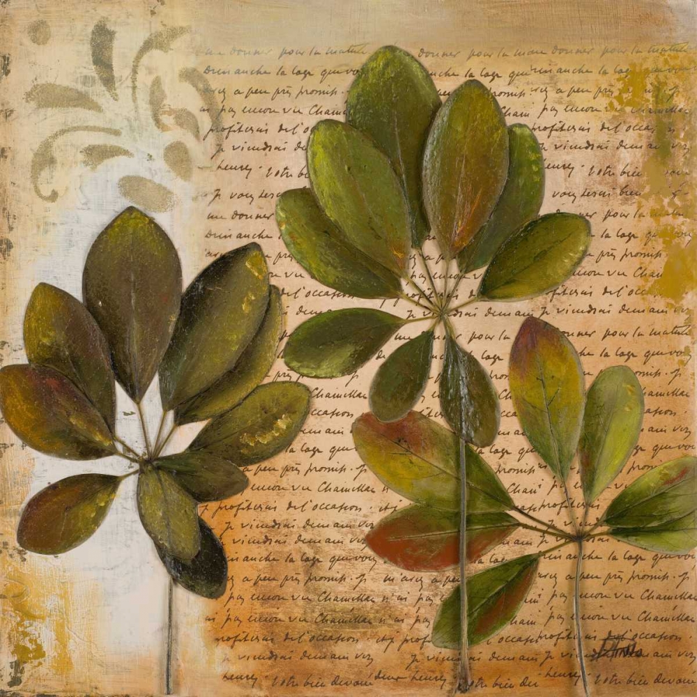 Botanica I art print by Patricia Pinto for $57.95 CAD