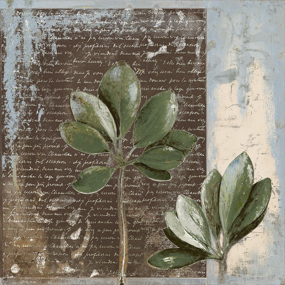 Botanica on Blue II art print by Patricia Pinto for $57.95 CAD