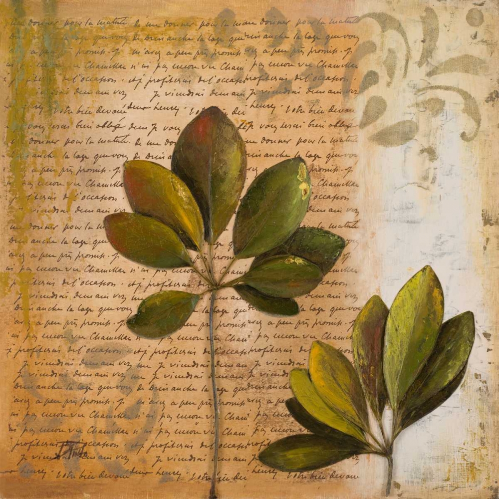 Botanica II art print by Patricia Pinto for $57.95 CAD