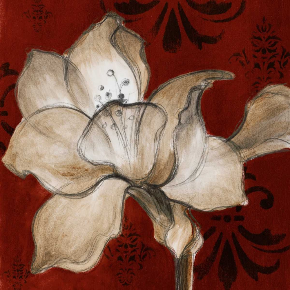 Amaryllis on Red II art print by Lanie Loreth for $57.95 CAD