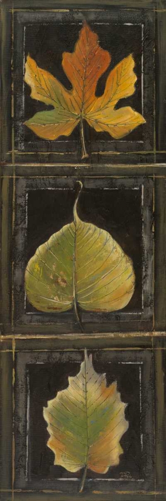 Three Leaves I art print by Patricia Pinto for $57.95 CAD