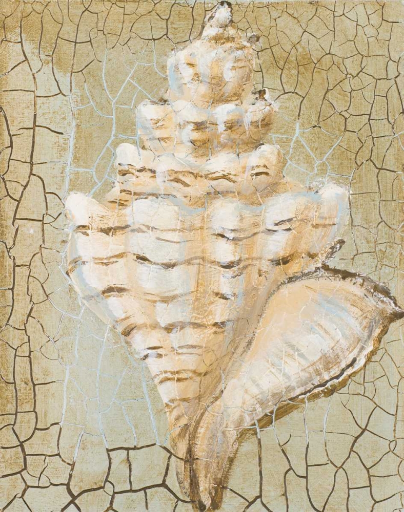 Seashell I art print by Hakimipour-Ritter for $57.95 CAD