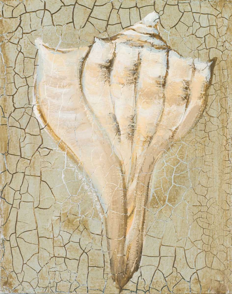 Seashell II art print by Hakimipour-Ritter for $57.95 CAD