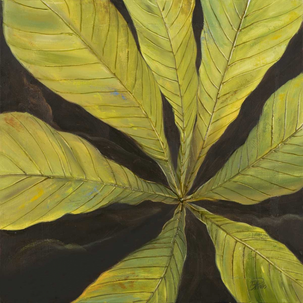 Evergreen I art print by Patricia Pinto for $57.95 CAD