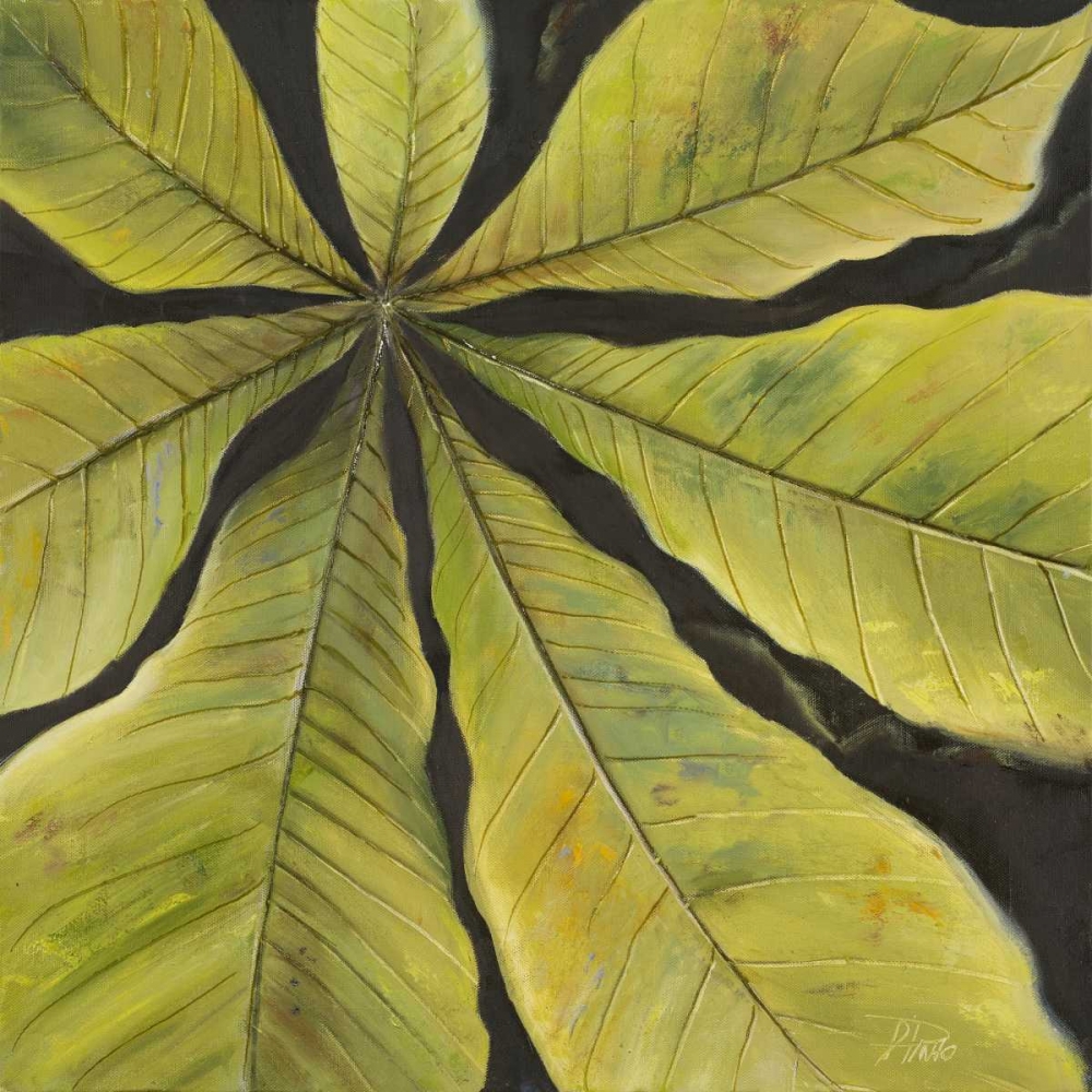 Evergreen II art print by Patricia Pinto for $57.95 CAD