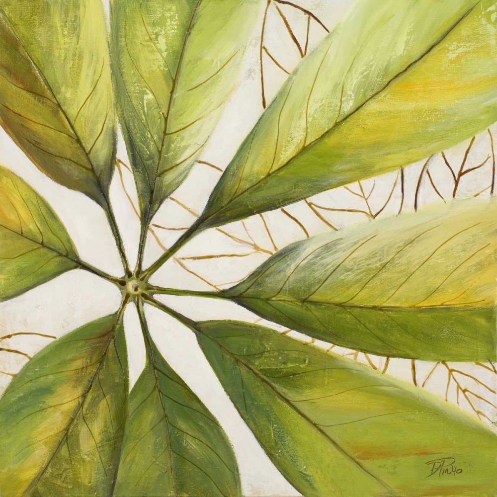 Fresh Leaves II art print by Patricia Pinto for $57.95 CAD