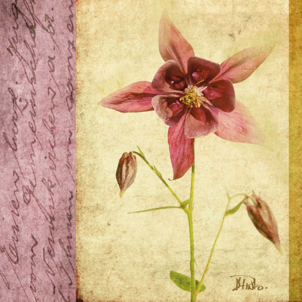 Vintage Diary Square I art print by Patricia Pinto for $57.95 CAD