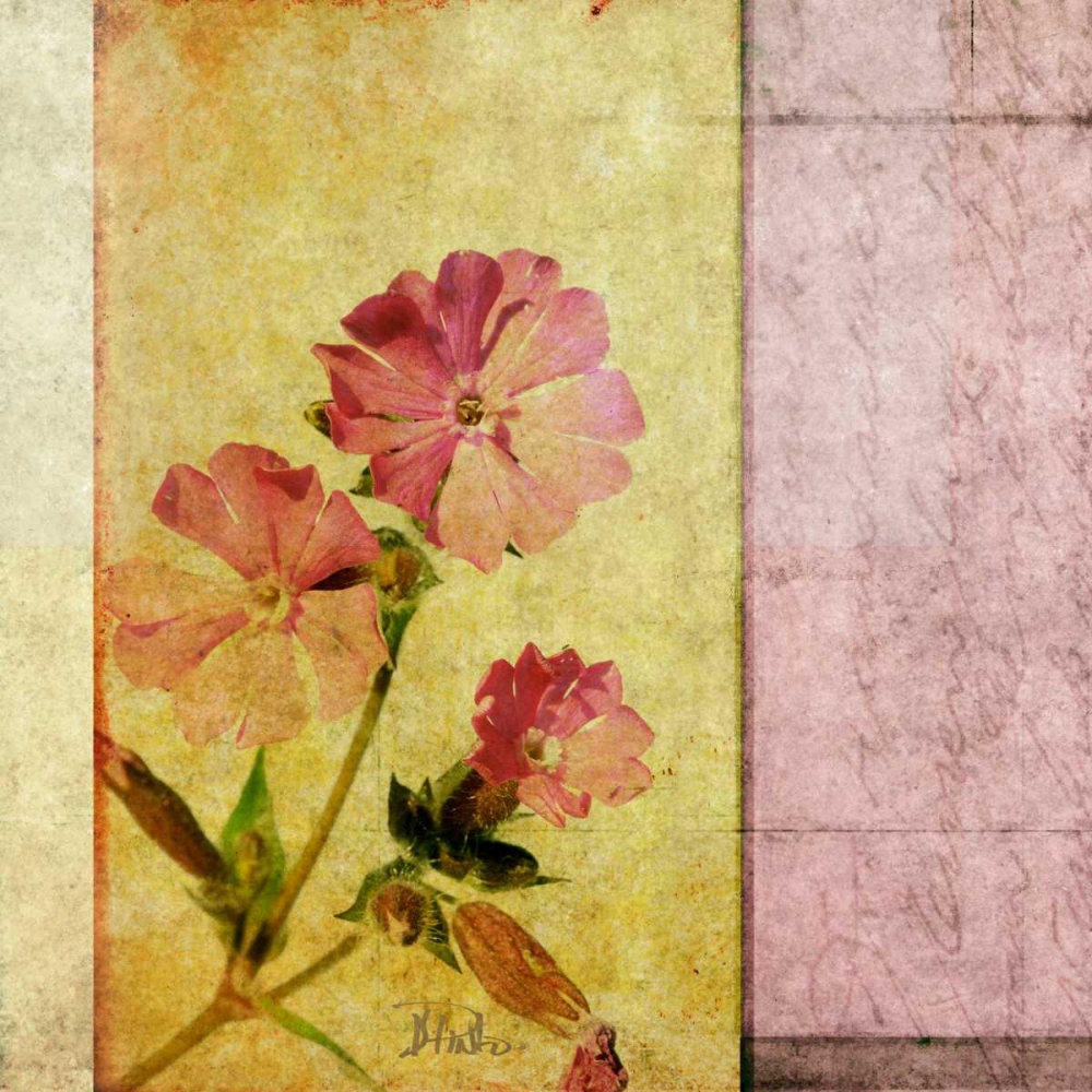 Vintage Diary Square II art print by Patricia Pinto for $57.95 CAD