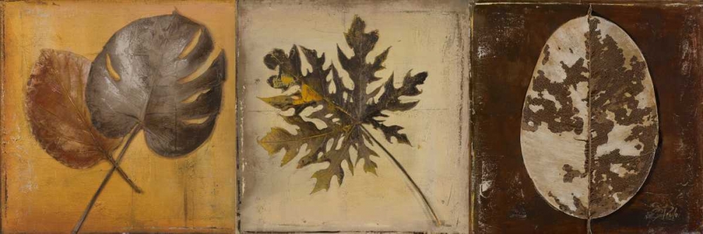 Natural Panel I art print by Patricia Pinto for $57.95 CAD