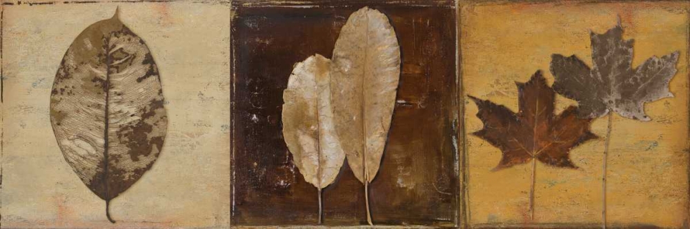 Natural Panel II art print by Patricia Pinto for $57.95 CAD