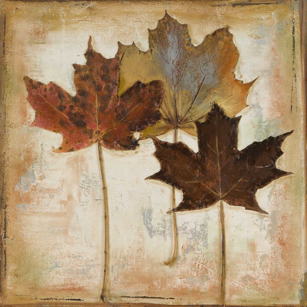Natural Leaves III art print by Patricia Pinto for $57.95 CAD