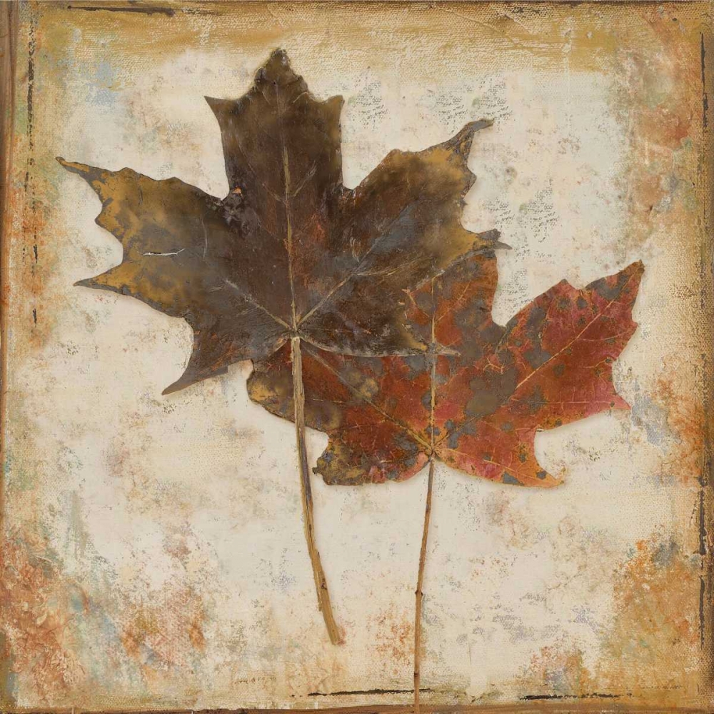 Natural Leaves IV art print by Patricia Pinto for $57.95 CAD
